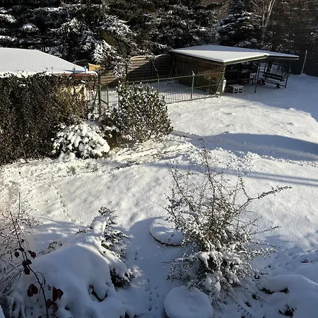 Villa Stolowa - Game - Bilard, Simracing, Arcade Chocieszow