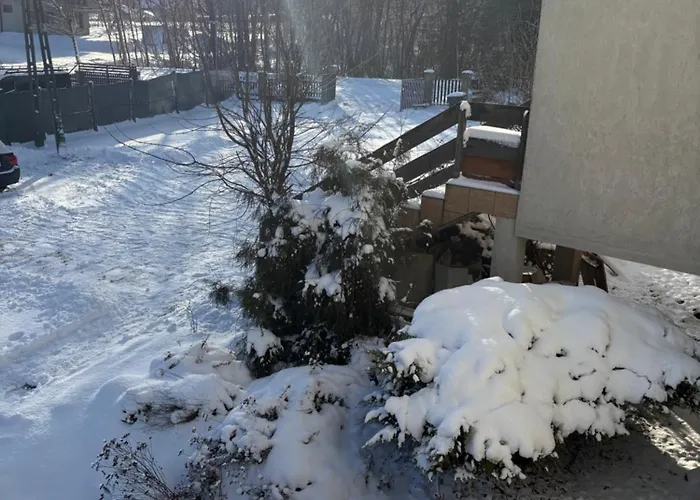 Stolowa - Game - Bilard, Simracing, Arcade Villa *