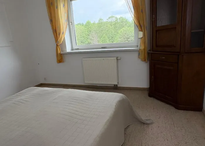 Villa Stolowa - Game - Bilard, Simracing, Arcade Chocieszow